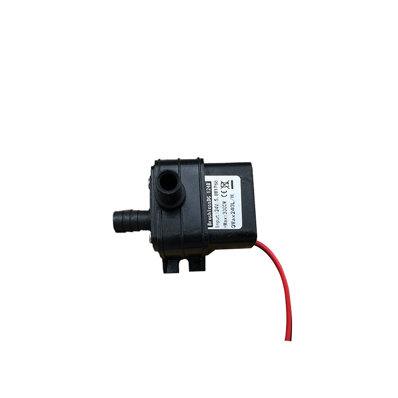 Draagbare DC 12V 4.8W 24V 5.8W - Mini Peristaltic Pump 12V recensie en prijs